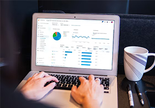  某上市化工集团涂料业务运营改善项目**期